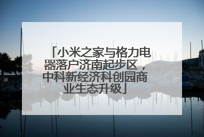 小米之家与格力电器落户济南起步区，中科新经济科创园商业生态升级