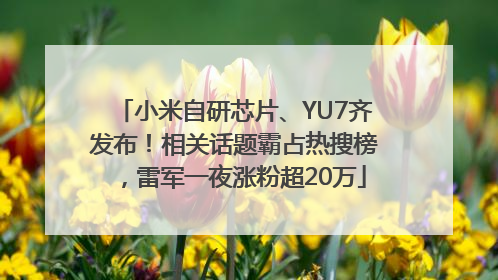 小米自研芯片、YU7齐发布！相关话题霸占热搜榜，雷军一夜涨粉超20万