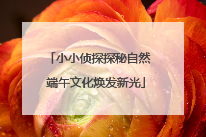 小小侦探探秘自然 端午文化焕发新光