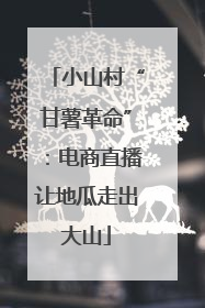 小山村“甘薯革命”：电商直播让地瓜走出大山