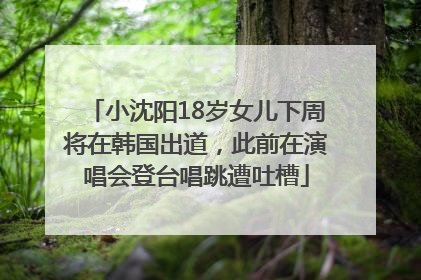 小沈阳18岁女儿下周将在韩国出道，此前在演唱会登台唱跳遭吐槽