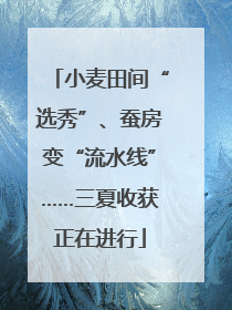 小麦田间“选秀”、蚕房变“流水线”……三夏收获正在进行