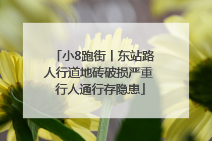 小8跑街丨东站路人行道地砖破损严重 行人通行存隐患