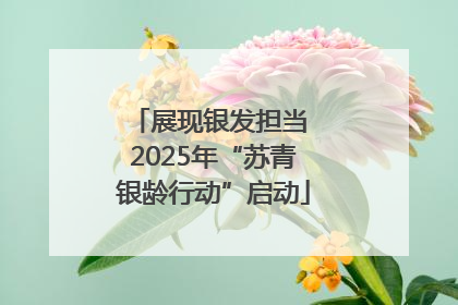 展现银发担当 2025年“苏青银龄行动”启动