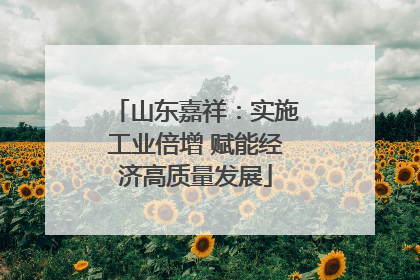 山东嘉祥：实施工业倍增 赋能经济高质量发展