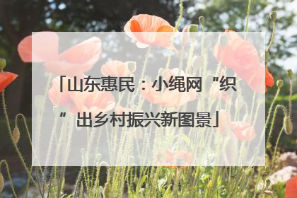 山东惠民：小绳网“织”出乡村振兴新图景