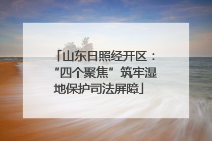 山东日照经开区：“四个聚焦”筑牢湿地保护司法屏障
