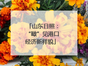 山东日照：“瞰”见港口经济新样貌