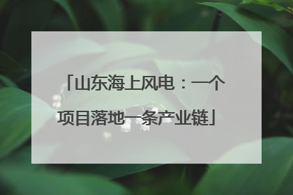 山东海上风电：一个项目落地一条产业链