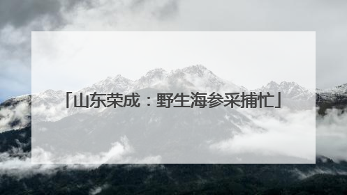 山东荣成：野生海参采捕忙
