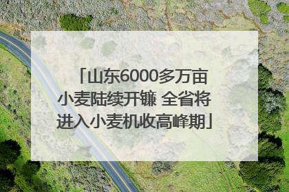山东6000多万亩小麦陆续开镰 全省将进入小麦机收高峰期