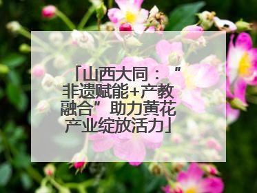 山西大同：“非遗赋能+产教融合”助力黄花产业绽放活力