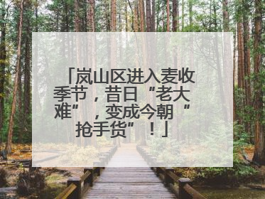 岚山区进入麦收季节，昔日“老大难”，变成今朝“抢手货”！