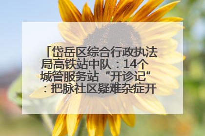 岱岳区综合行政执法局高铁站中队：14个城管服务站“开诊记”：把脉社区疑难杂症开出治理良方