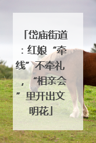 岱庙街道：红娘“牵线”不牵礼，“相亲会”里开出文明花