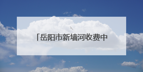 岳阳市新墙河收费中心为民服务暖人心