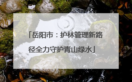 岳阳市：护林管理新路径全力守护青山绿水