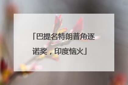 巴提名特朗普角逐诺奖，印度恼火