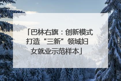 巴林右旗：创新模式 打造“三新”领域妇女就业示范样本
