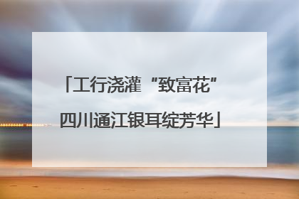 工行浇灌“致富花” 四川通江银耳绽芳华