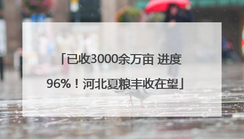已收3000余万亩 进度96%！河北夏粮丰收在望