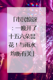 市民惊讶：一晚开了十五六朵昙花！与雨水均衡有关