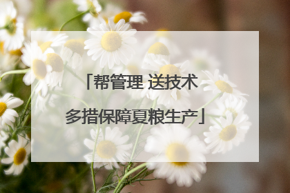 帮管理 送技术 多措保障夏粮生产
