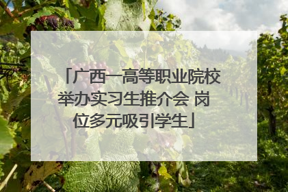 广西一高等职业院校举办实习生推介会 岗位多元吸引学生