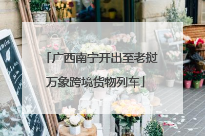 广西南宁开出至老挝万象跨境货物列车