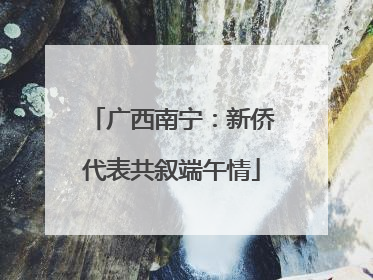 广西南宁：新侨代表共叙端午情