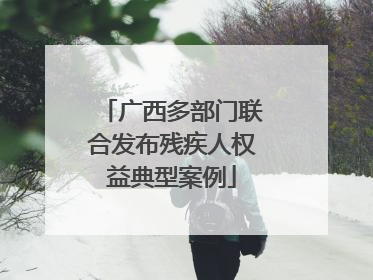 广西多部门联合发布残疾人权益典型案例