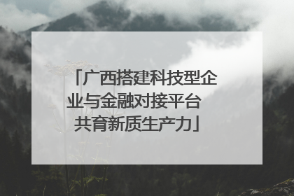 广西搭建科技型企业与金融对接平台 共育新质生产力