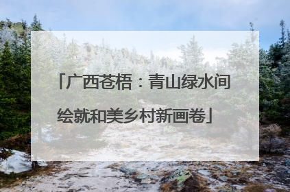 广西苍梧：青山绿水间绘就和美乡村新画卷