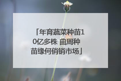 年育蔬菜种苗10亿多株 曲周种苗缘何俏销市场