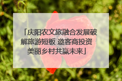 庆阳农文旅融合发展破解旅游短板 邀客商投资美丽乡村共赢未来