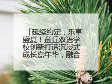 延续约定，乐享盛夏！章丘双语学校创新打造沉浸式成长嘉年华，融合音乐节再启幕！