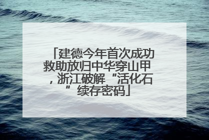 建德今年首次成功救助放归中华穿山甲，浙江破解“活化石”续存密码