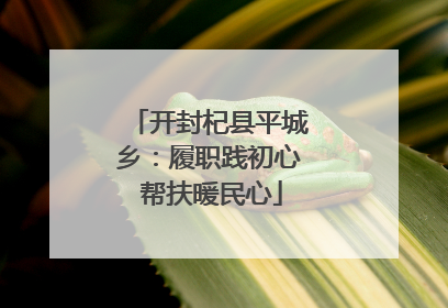开封杞县平城乡：履职践初心 帮扶暖民心