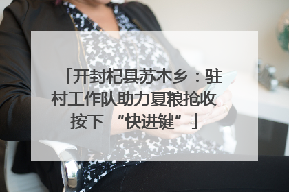 开封杞县苏木乡：驻村工作队助力夏粮抢收按下 “快进键”