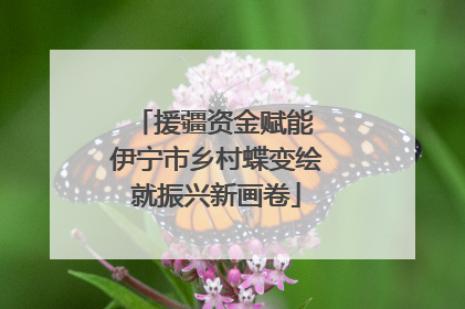 援疆资金赋能 伊宁市乡村蝶变绘就振兴新画卷