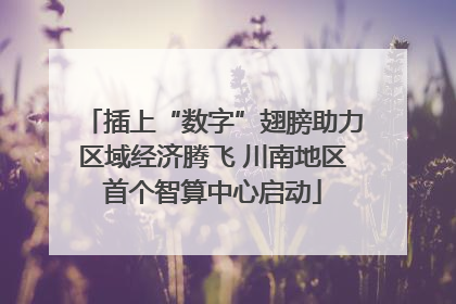 插上“数字”翅膀助力区域经济腾飞 川南地区首个智算中心启动