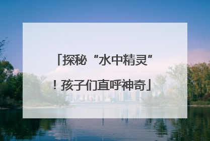 探秘“水中精灵”！孩子们直呼神奇