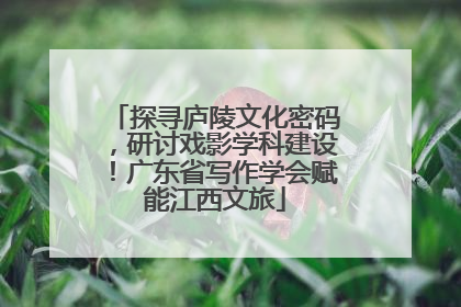 探寻庐陵文化密码，研讨戏影学科建设！广东省写作学会赋能江西文旅