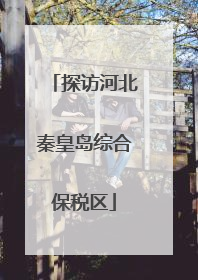 探访河北秦皇岛综合保税区