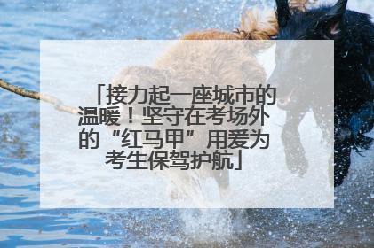 接力起一座城市的温暖！坚守在考场外的“红马甲”用爱为考生保驾护航