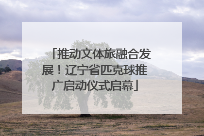 推动文体旅融合发展！辽宁省匹克球推广启动仪式启幕