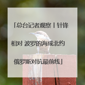 总台记者观察丨针锋相对 波罗的海成北约俄罗斯对抗最前线