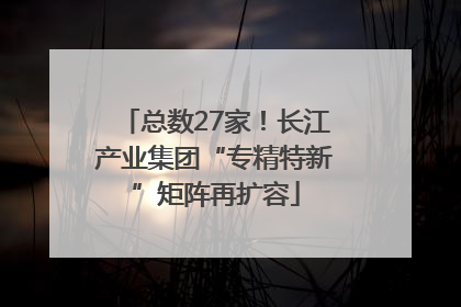 总数27家！长江产业集团“专精特新”矩阵再扩容