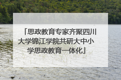 思政教育专家齐聚四川大学锦江学院共研大中小学思政教育一体化