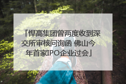 悍高集团曾两度收到深交所审核问询函 佛山今年首家IPO企业过会